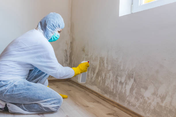 Hvac And Air Duct Mold Remediation inspection of HVAC system in Concord